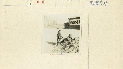 孩童沙滩嬉戏晴空枯树背景.jpg