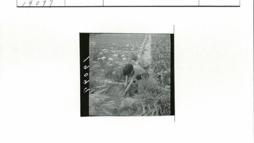 孩童溪边田野嬉戏图.jpg