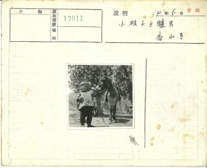 孩童牵驴树林背景.jpg