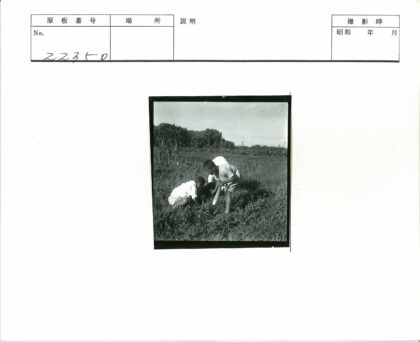 孩童田野照料植物.jpg