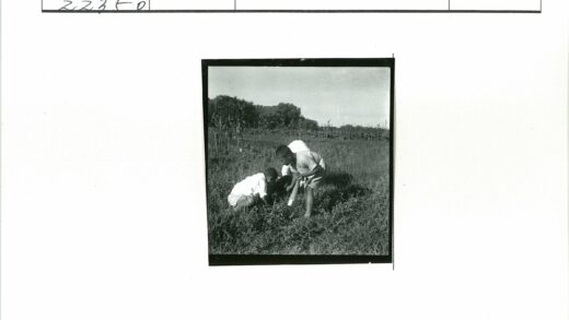 孩童田野照料植物.jpg