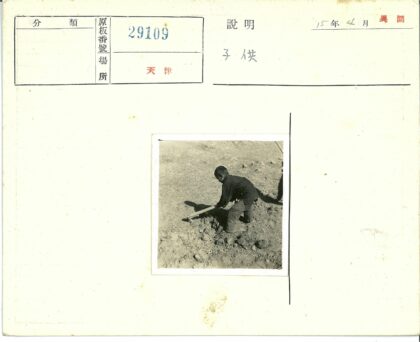 孩童田间劳作旧影.jpg