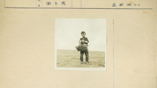 孩童阴天拾树枝篮.jpg