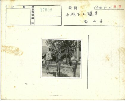 孩童骑驴山树背景.jpg
