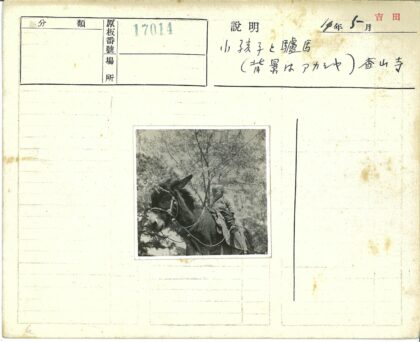 孩童骑驴林间行.jpg