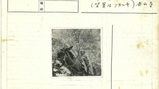 孩童骑驴林间行.jpg