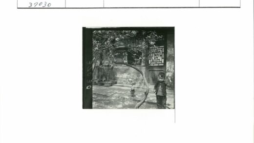 孩童鸟笼树前公鸡建筑背景.jpg