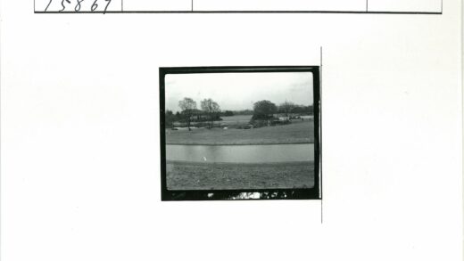 宁静公园池塘草地树木远景.jpg