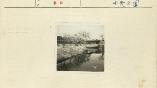 宁静公园池塘鸭影树色漫步.jpg