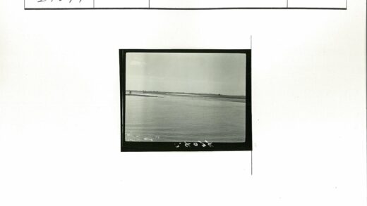 宁静大河与远树地平线.jpg