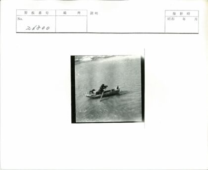 宁静小船与双鸟栖息.jpg