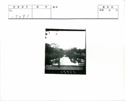 宁静林间池塘小桥栅栏.jpg