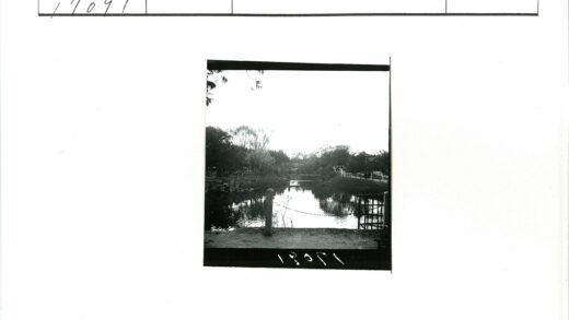 宁静林间池塘小桥栅栏.jpg