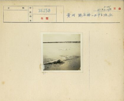宁静水域与原木漂流.jpg