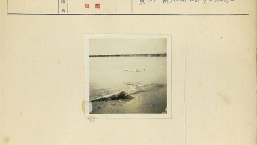 宁静水域与原木漂流.jpg