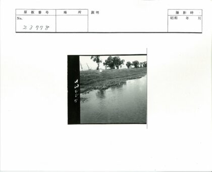 宁静水道与绿堤风光.jpg