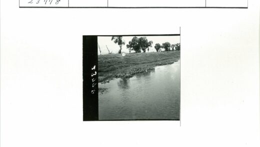 宁静水道与绿堤风光.jpg