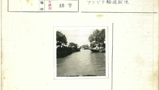宁静水道旁树木船只与休闲人群.jpg