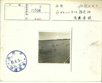 宁静水面与远方树林.jpg