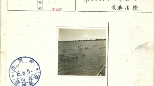 宁静水面与远方树林.jpg