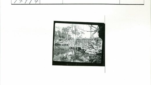 宁静池塘与木制树冠景观.jpg