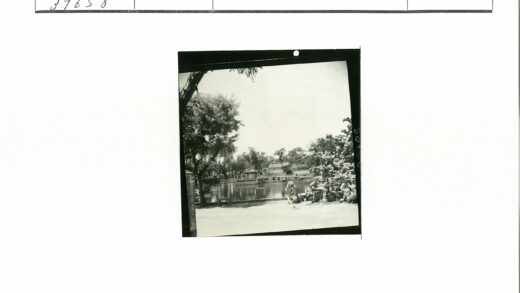 宁静池塘小桥树木景色.jpg