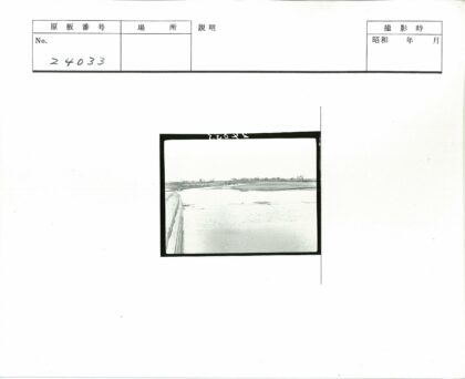 宁静河岸与草地风光.jpg