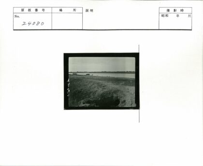 宁静河岸土路风光.jpg