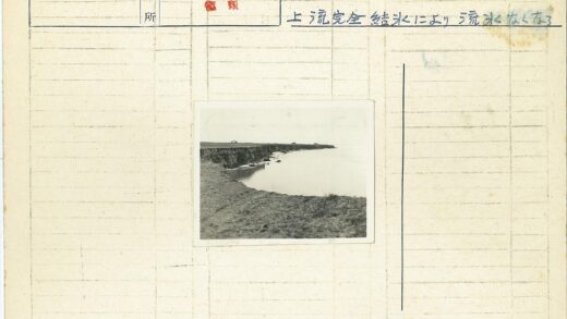 宁静河岸沙滩草地风光.jpg