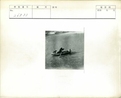宁静海岸独木舟与双鸟.jpg