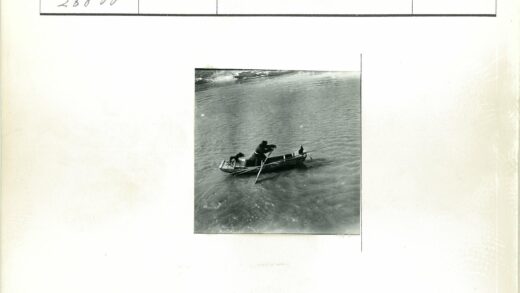 宁静海岸独木舟与双鸟.jpg
