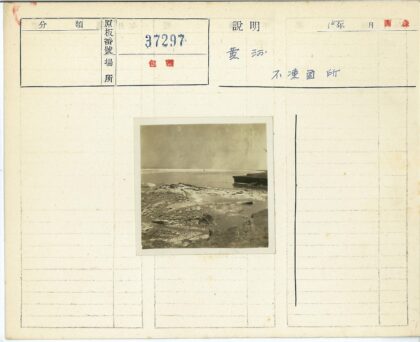 宁静海岸线浮木浅水.jpg