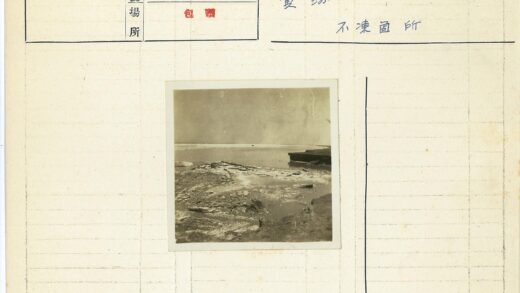 宁静海岸线浮木浅水.jpg