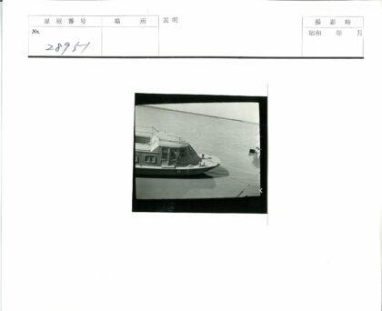 宁静港湾与远岸风景.jpg