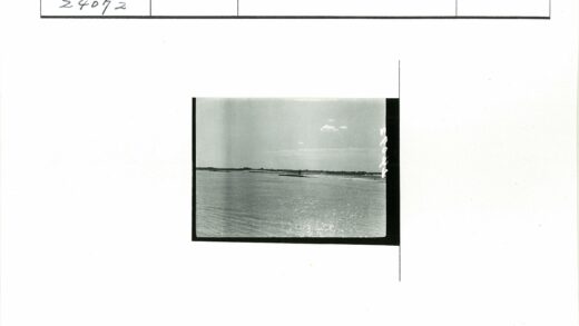 宁静湖岸晴空远树.jpg