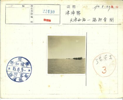 宁静湖岸远树地平线.jpg