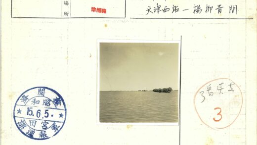 宁静湖岸远树地平线.jpg
