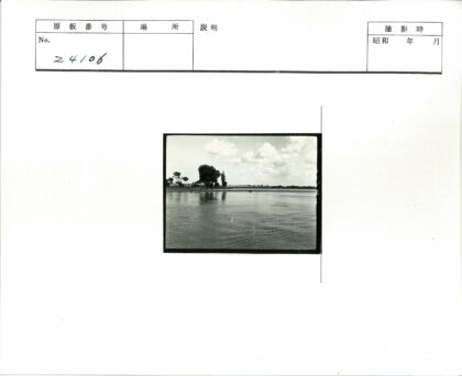 宁静湖畔树影田野风光.jpg