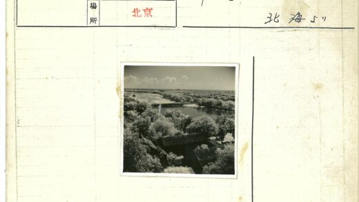 宁静湖畔森林与建筑景观.jpg