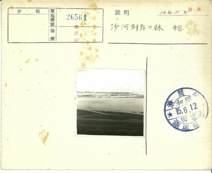 宁静湖畔沙滩与树林.jpg