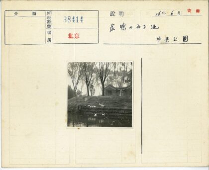 宁静湖畔的鸭子与人家.jpg