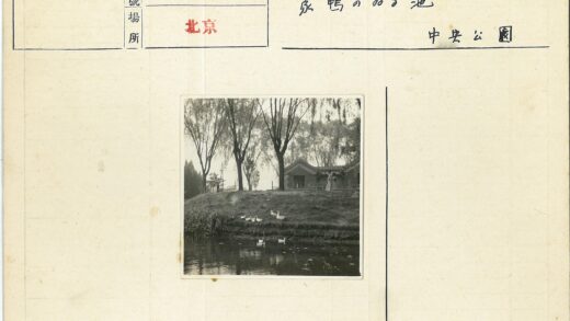 宁静湖畔的鸭子与人家.jpg