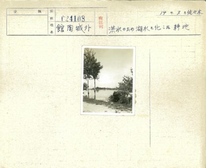 宁静湖畔绿树倒影.jpg
