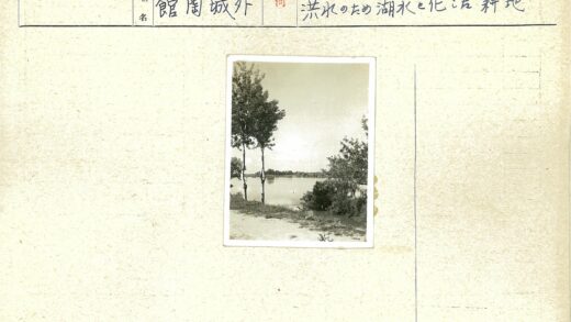 宁静湖畔绿树倒影.jpg