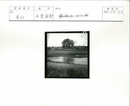 宁静湖畔绿树围栏.jpg