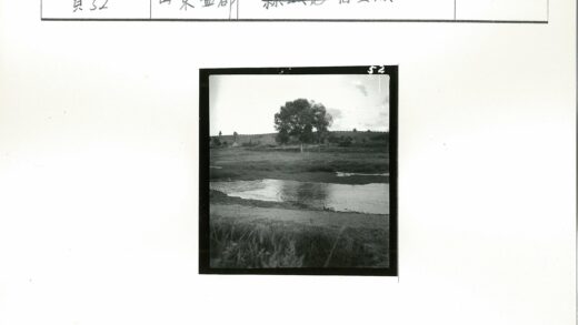 宁静湖畔绿树围栏.jpg