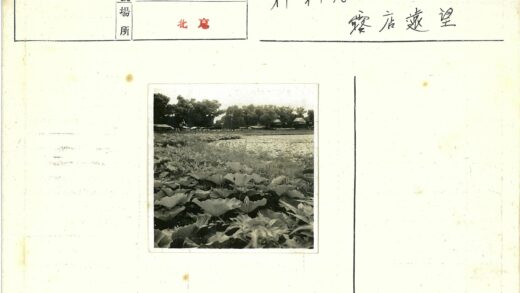宁静湖畔自然风光.jpg