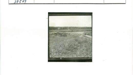 宁静湖畔草原风光.jpg