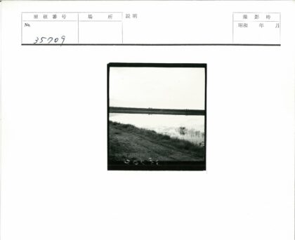 宁静湖畔草地倒影风光.jpg