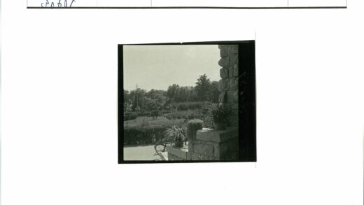 宁静花园石墙绿植与晴空.jpg